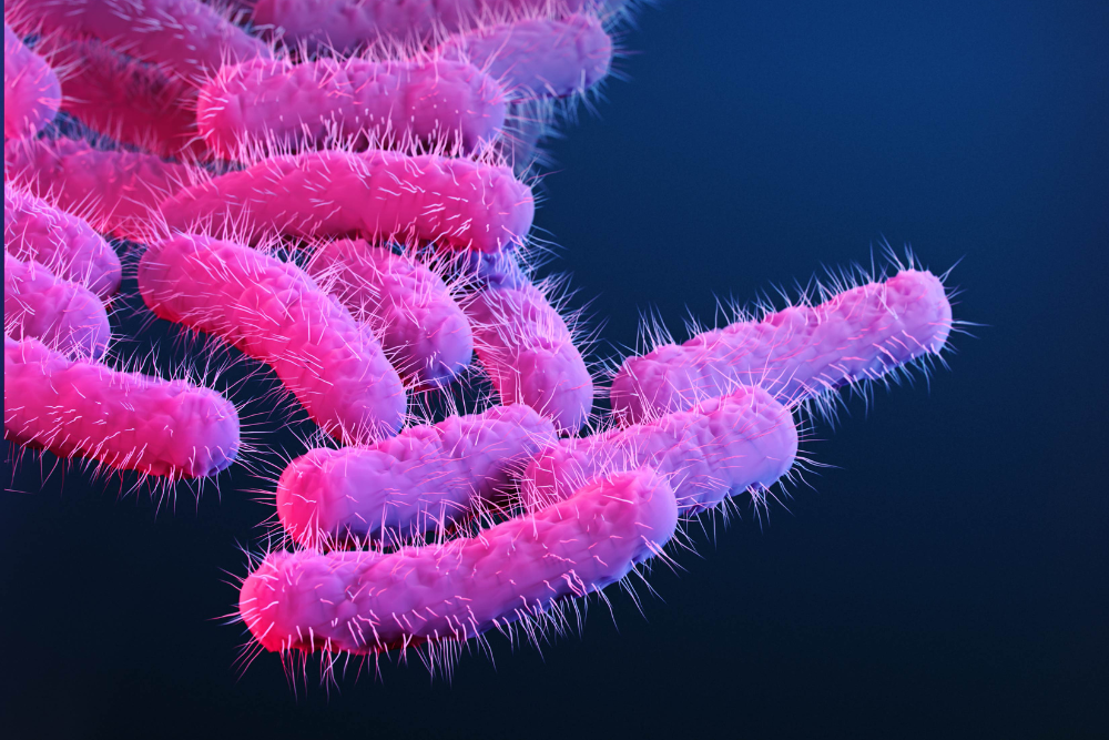 microbiota oculare